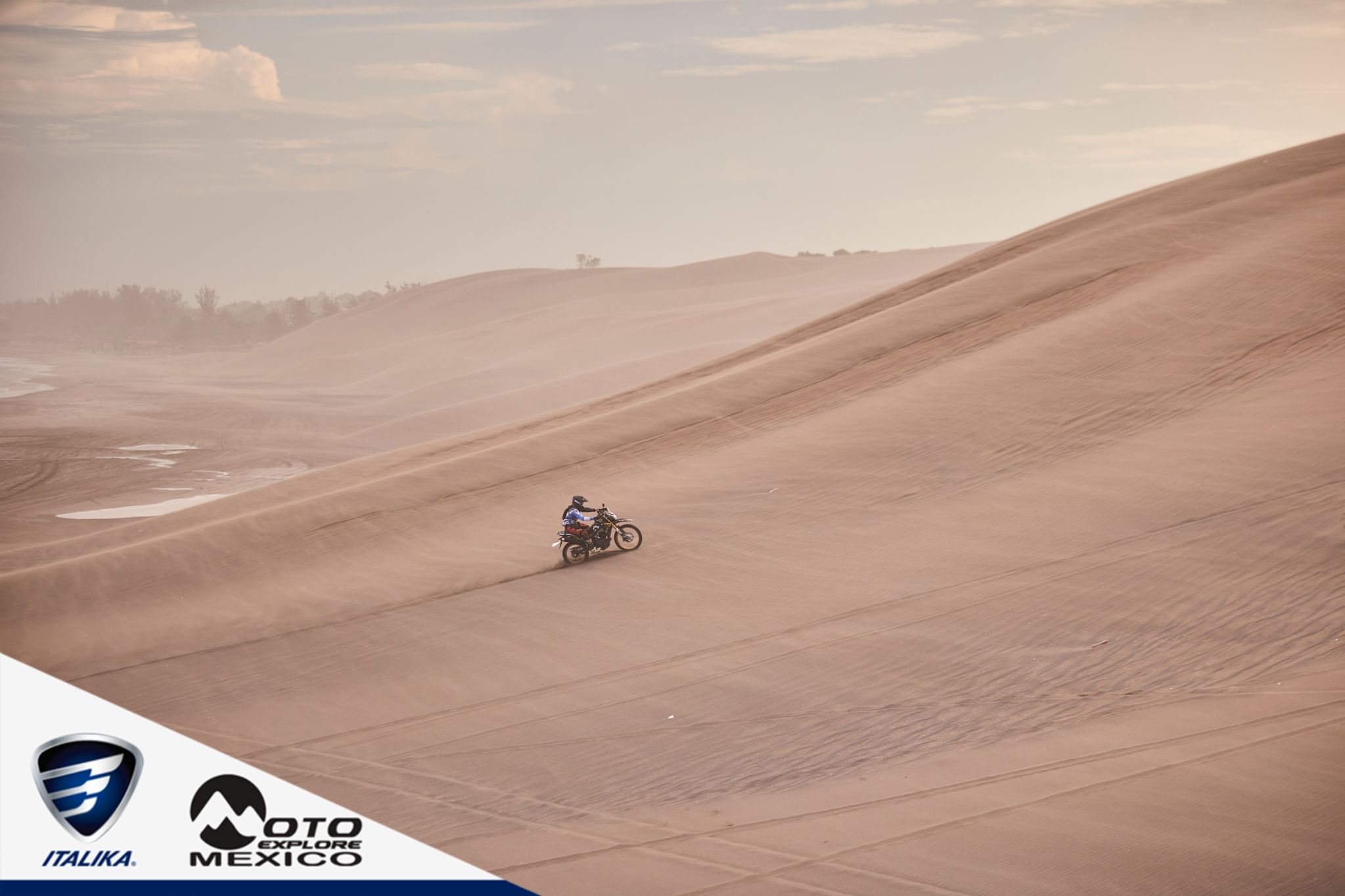 ITALIKA CHACHALACAS D2 481